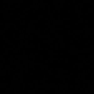 Meet your Posher, Max